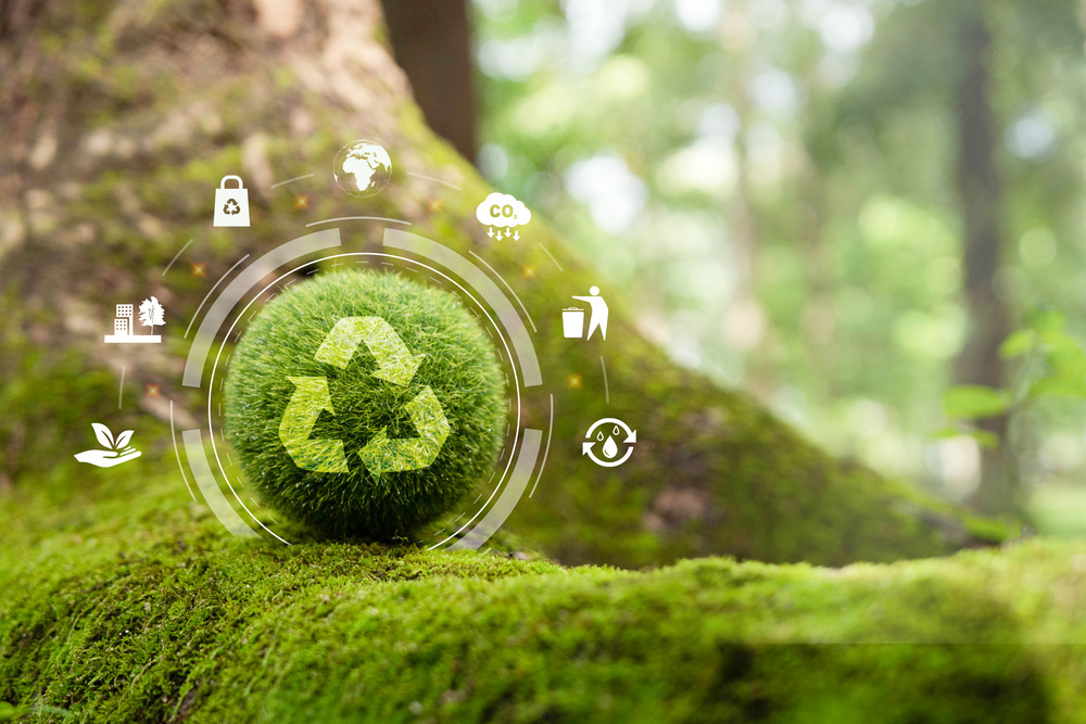 Zero waste,net zero concept. Carbon neutral. Climate neutral lon