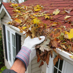 What Happens If You Skip Roof and Gutter Cleaning?