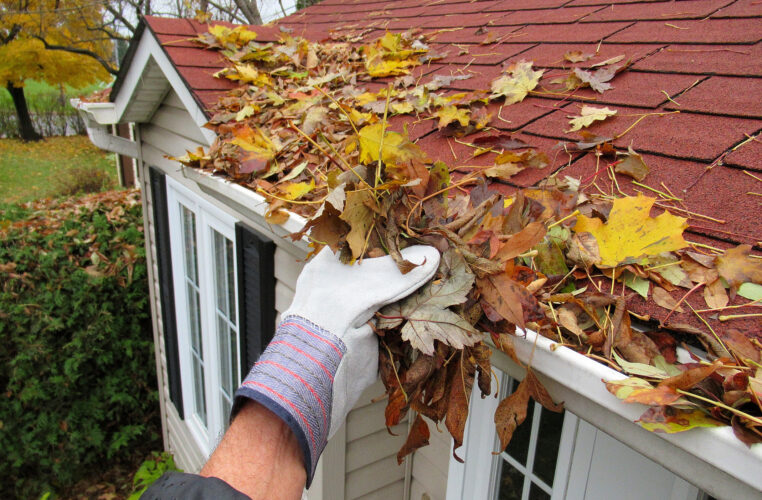 What Happens If You Skip Roof and Gutter Cleaning?